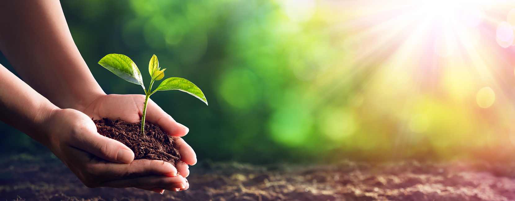 304am��������(�й�)���޹�˾-Official Website