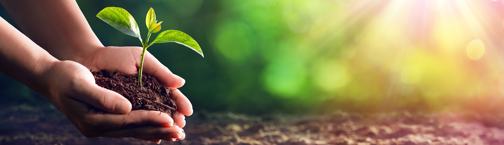 304am��������(�й�)���޹�˾-Official Website